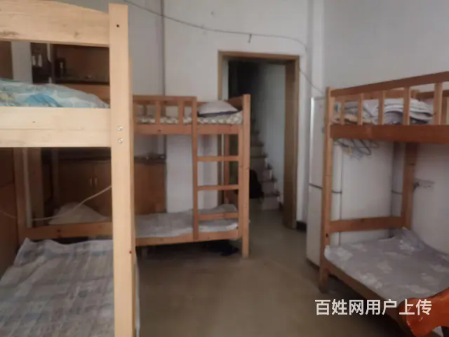 20元每日，100元每周  400元每月 - 图片