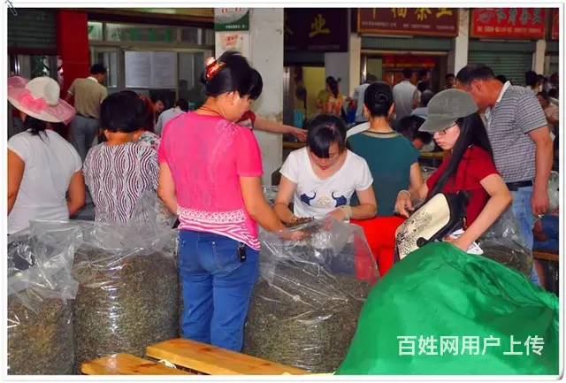哪里有茶艺培训班，天晟茶艺培训学校答深圳茶艺师培训 - 图片 11