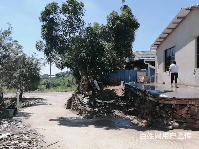 （老板本人）望城区白箬铺厂房仓库优价出租6712 - 图片 3