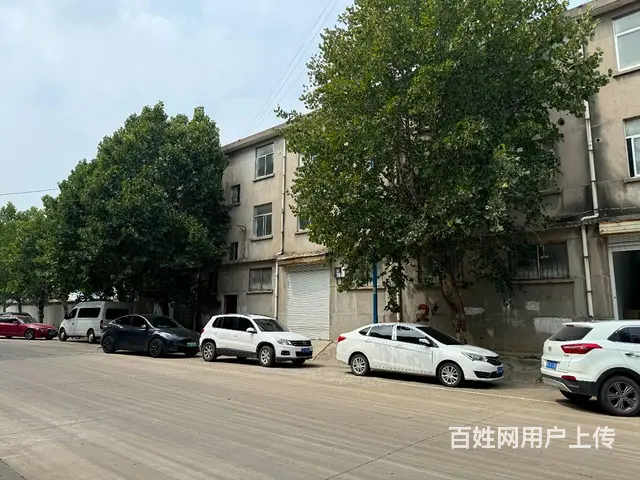 （城市在线找房免费）铜山新区万达东标准厂房招租 - 图片 4