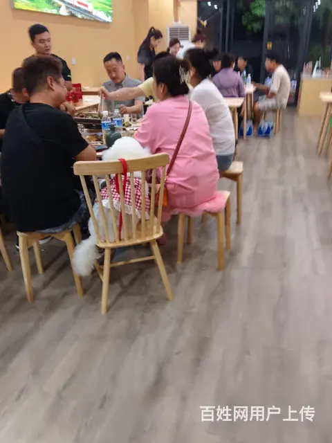 《低价转让》适合，早，中，晚 - 图片 2