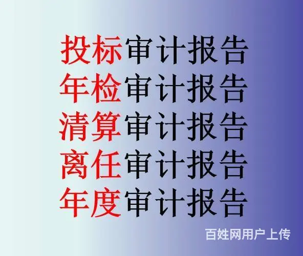 经第三方审计2023年财务审计报表 - 图片 1