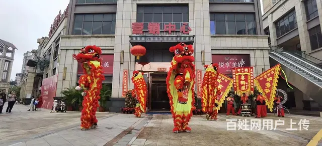 专业舞狮表演团队 - 图片 3
