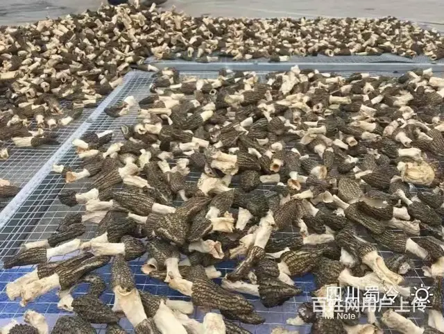 云南空气能热泵烘干机，菌子智能干燥一体机，工厂直销 - 图片 1