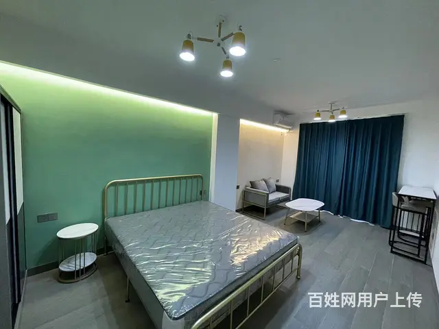 城东精装修1室48.00平空房出租 - 图片 6