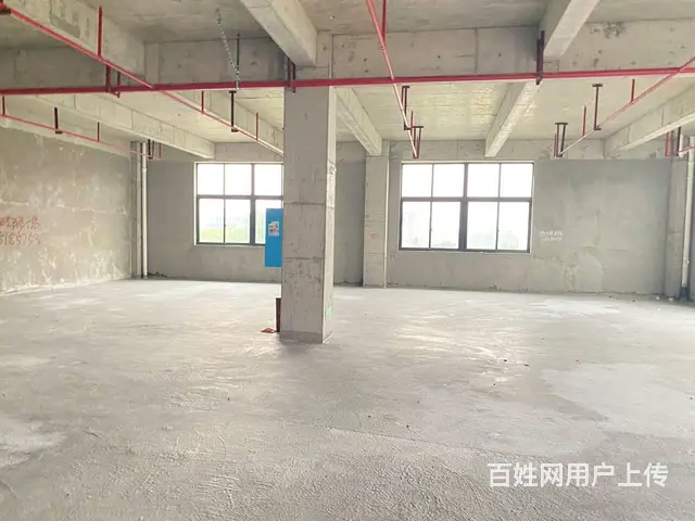 （房东直租）中青路佳海园区775平厂房优价出租，可分租 - 图片 4