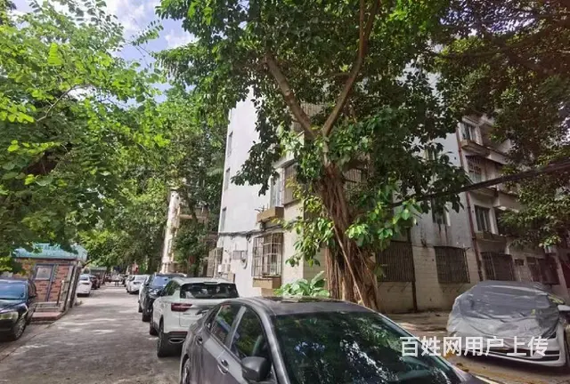 吉大新村 精装3房，采光好 拎包随时 可以入住 - 图片 11