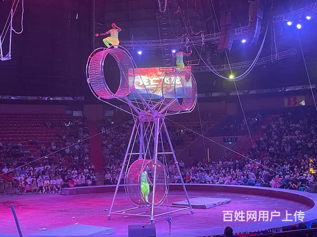 呼伦贝尔旅游向导排名推荐巴特尔 - 图片 2