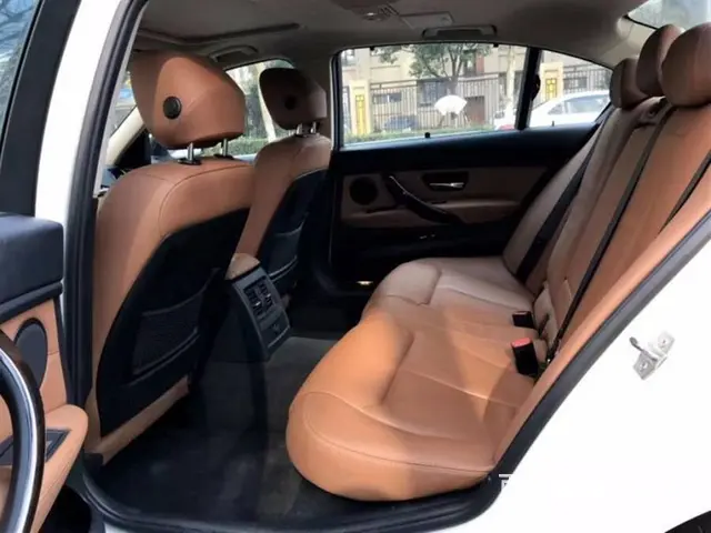 宝马3系 2013款 320Li 2.0T 手自一体 豪华设 - 图片 6