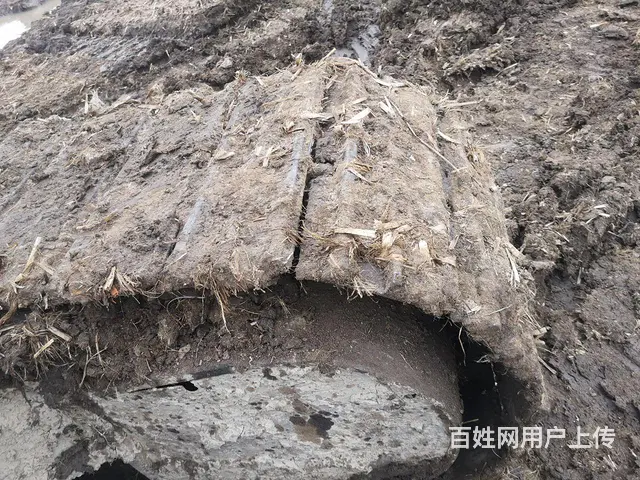 200-5 - 图片 3