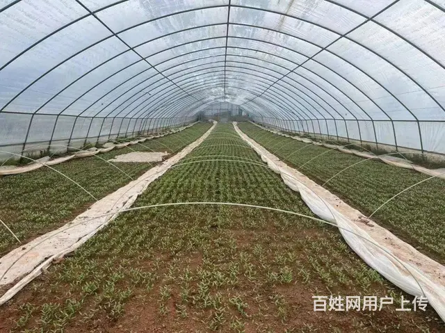 娄底到长沙网约车拼车电话号码 ​  机场高铁直达 - 图片