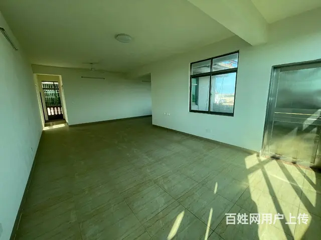 （51旺铺推荐）美兰区新埠岛650平整栋出租 - 图片 5