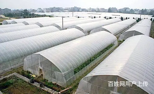 苏州卓尼PC板温室大棚，生产加工一体，可定制 - 图片 5