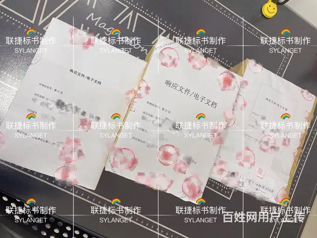 沈阳标书代理，丰富的标书制作经验，专注于各类标书制 - 图片 8