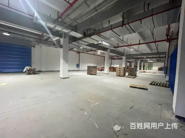 （老板本人）新产业园/仓库厂房房东直租  5746 - 图片 4