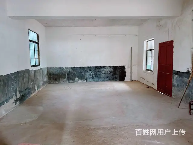 （老板本人）安沙107国道边优质厂房仓库带场地出租 6447 - 图片 5