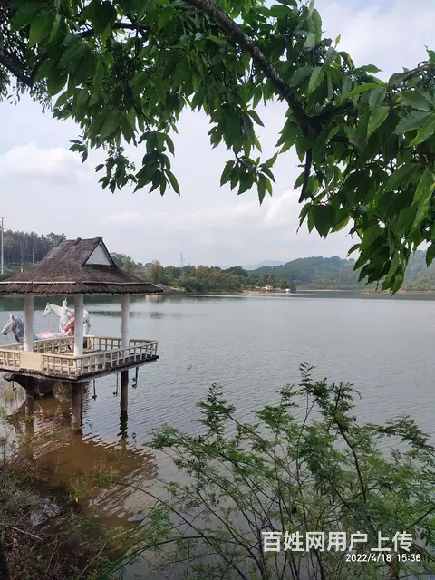 86年未婚工地小哥真诚来找对象 - 图片 3