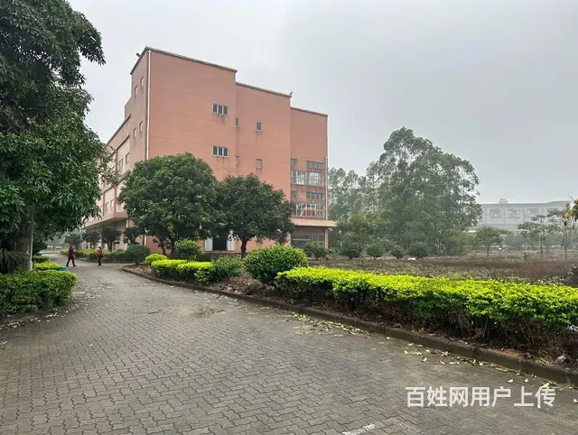 珠海斗门工业用地100亩，建筑10000平，仅75 - 图片 4