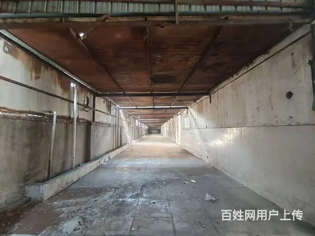 【城市快迅】淮上大道旁边 金牛路267号厂房出租 - 图片 7