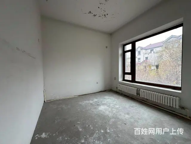 群力四合院墅 独栋 双拼 类独栋多套户型 超底价格 - 图片 10