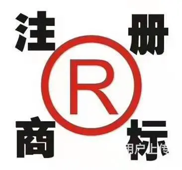 山东省知名商标事务所代理机构 - 图片 7