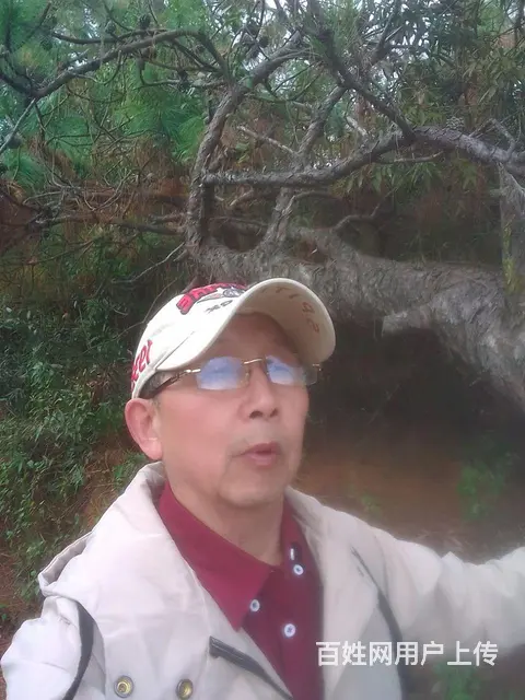 找个老伴度晚年 - 图片 3