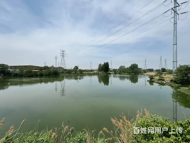 （徐州找店网）泉山区40亩鱼塘出租 - 图片 4