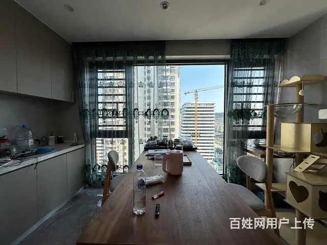 新出！快乐家园湖景大3房 全屋定制 洗碗机欧派衣橱 山景湖景 - 图片 5