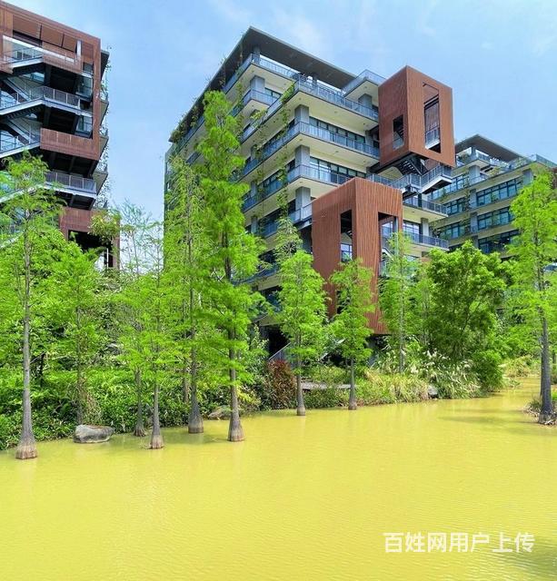 原生态园林湖畔式办公,绿色山谷围绕,带独立阳 - 深圳宝安写字楼出租