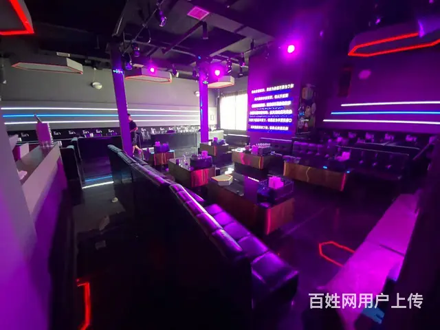 全新精装修酒吧静吧转让）丰收路391商业街金山东方花园南侧 - 图片 4