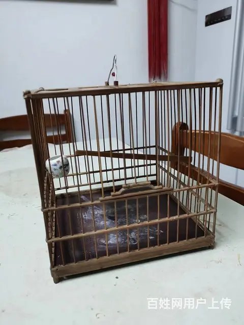绣鸟专用笼子出售 - 图片 7