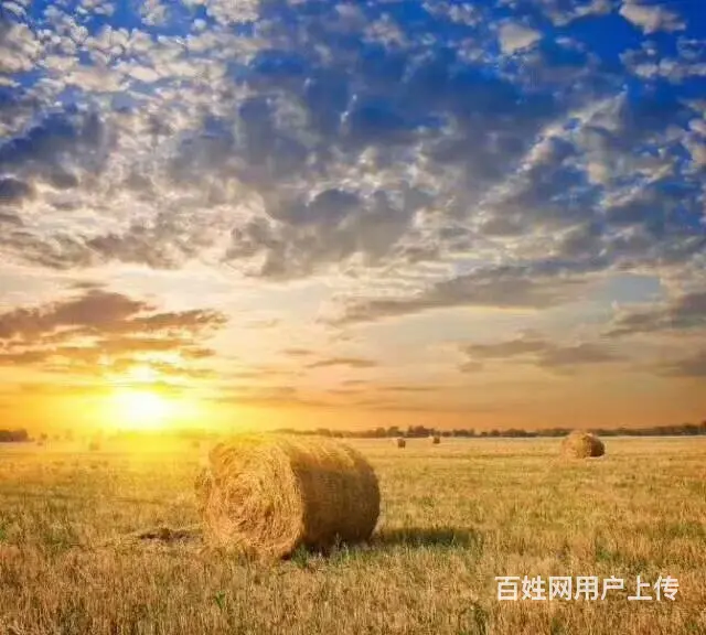 呼伦贝尔满洲里自由行旅游包车阿尔山好的师傅排名 - 图片 2