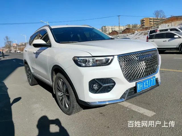 哈弗H6 2020款 1.5GDIT 双离合 铂金冠军版 - 图片 2