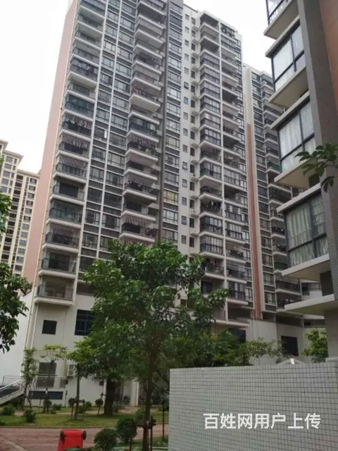 新景豪庭 精装3房  总价90万 业主诚心出售 价 - 图片 5