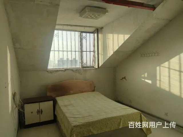 南山。租房子 - 图片 2