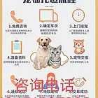 大兴安岭宠物托运 （猫狗活体运输） 邮寄到全国