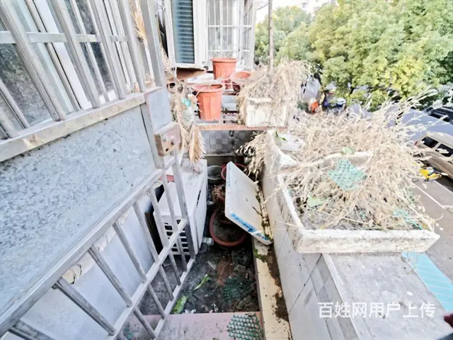 三里亭 · 三里家园**区 · 2室 · 2厅 - 图片 6