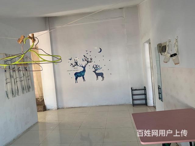 胜利小学西梁三中县医院轩和家园的图片