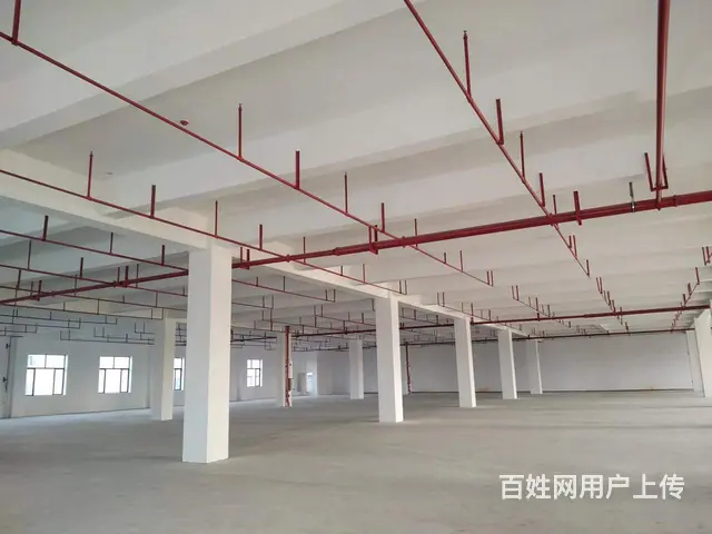 珠海金湾平沙厂房占地18亩独院厂房2100万 - 图片 7