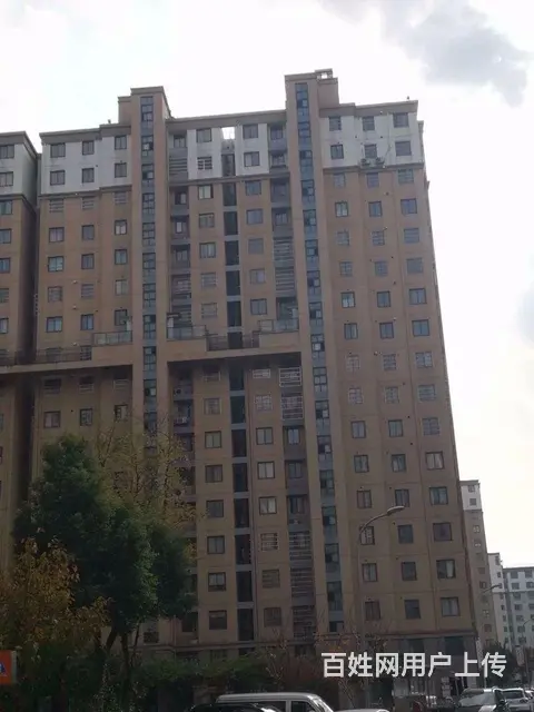 泰兴虹桥一手直签房 一梯两户洋房 价格可谈 免费带 - 图片 12