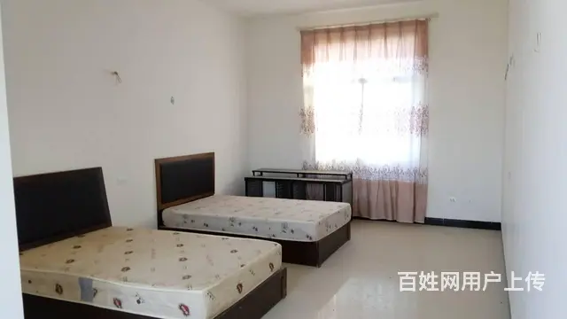 上海路海华幼儿园对面 单身公寓 中等装修 - 图片 1