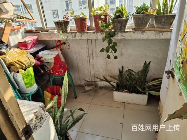 北国南邻 冶金东区 两室一厅 满五  低  可贷款 - 图片 3