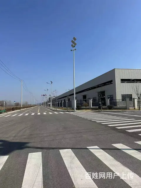 （城市在线找房免费）大彭工业园标准钢结构厂房出租（出售） - 图片 10