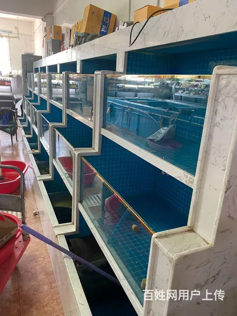胜利路早市，刘氏活鱼水产店低价转让 - 图片 5