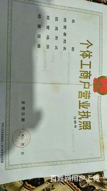 信阳董家河大量苗木花卉一手低价出售 - 图片 6