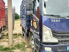 出售19年4月重汽豪曼4.2米高栏货车 精品车况