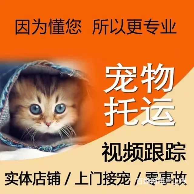 张掖市宠物托运（猫狗）邮寄快递（2023今日 推荐运输 - 图片 5