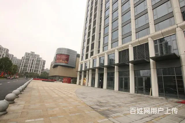 绿城运河郡，朝南低总价 精装修，诚心出售，看房方便 - 图片 8