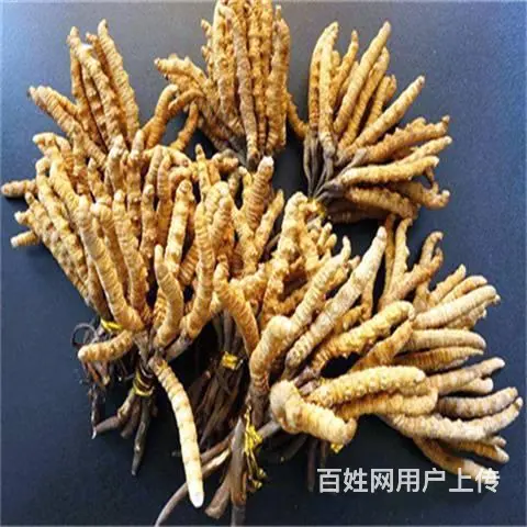 从化诚信上门回收2000条冬虫夏草一克多少钱 - 图片 2