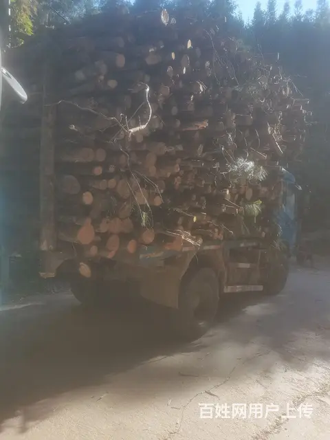 湖北大运 风度 自卸车 国4 - 图片 4